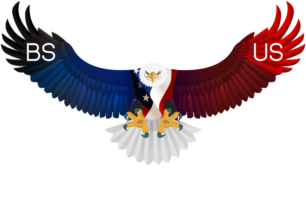 For, In The Final Analysis, Our Most Basic Common Link - Vector Graphics (1059x800)