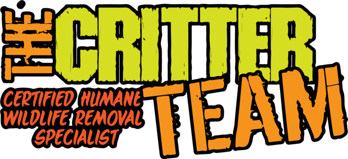 The Critter Team, Humble, Tx, Usa - The Critter Team, Humble, Tx, Usa (700x321)