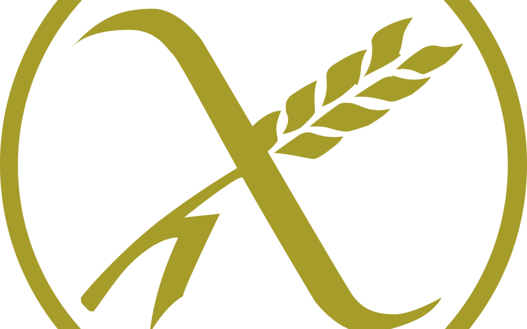 Why A Gluten Free Diet Isn't The Answer For Weight - International Gluten Free Symbol (1080x675)