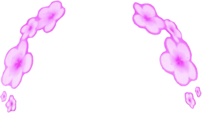 Snapchat Filters Clipart Purple Flower - Pink Flower Crown Snapchat Filter (690x389)