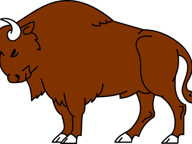 Bison Cliparts - Bison Clipart (640x480)