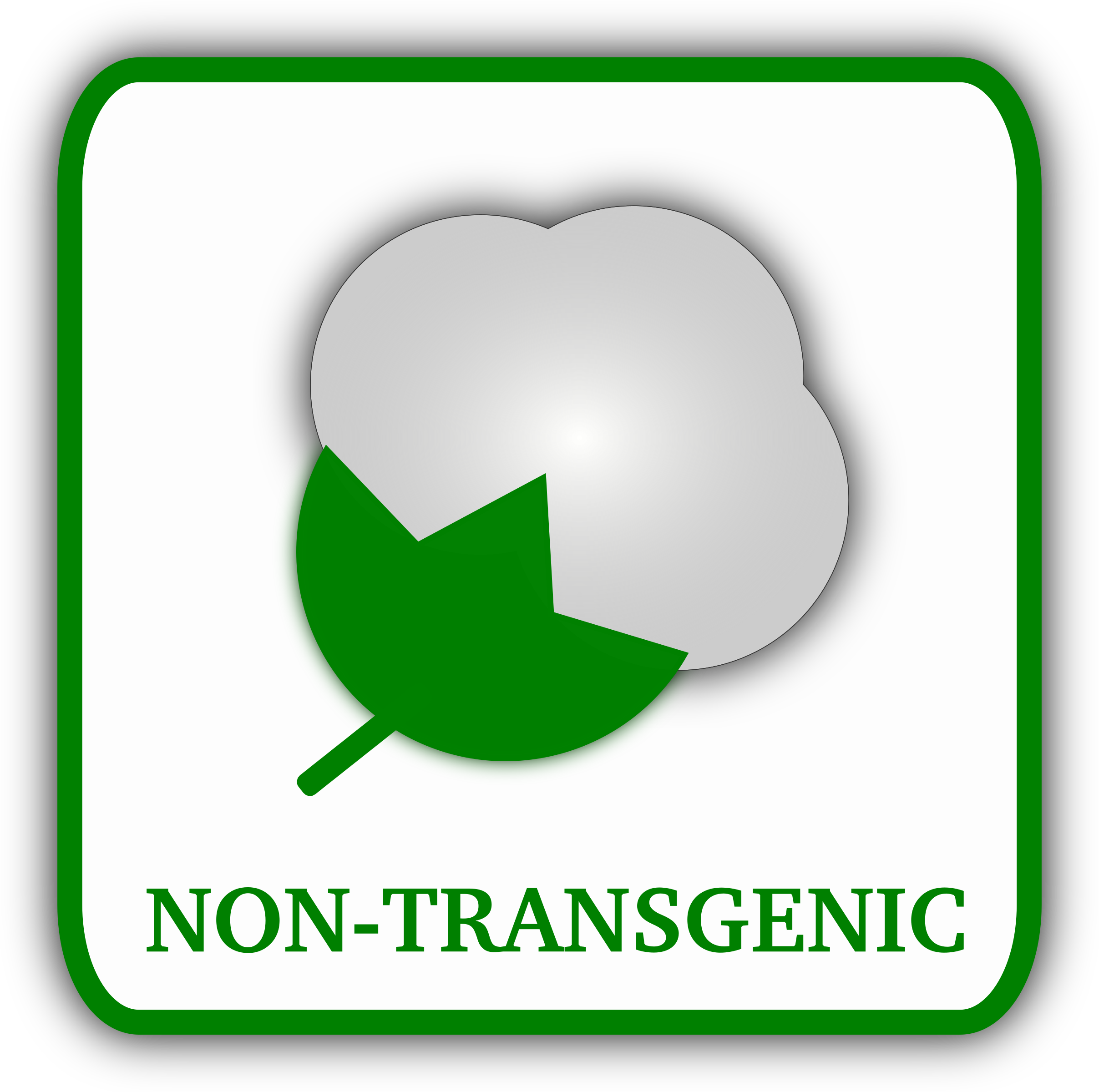 Big Image - Non Transgenic (2415x2400)