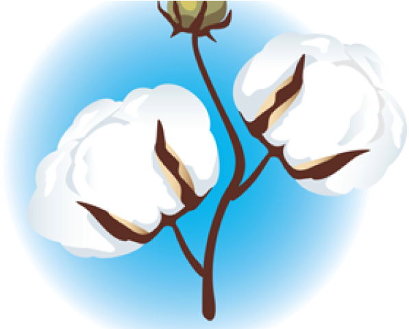 Cotton Plant Clip Art (640x480)