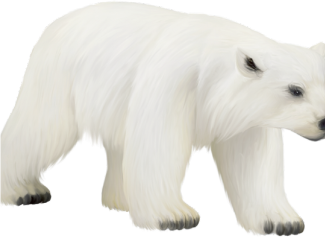 Polar Clipart Iceberg Clipart - Portable Network Graphics (640x480)