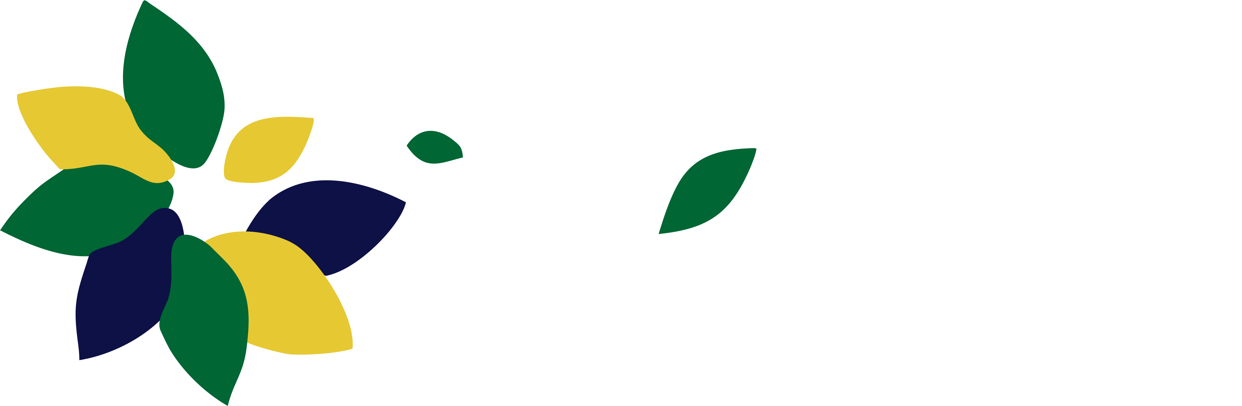 Valyrian Venture Valyrian Venture Valyrian Venture - Valyrian Venture Valyrian Venture Valyrian Venture (4038x1323)