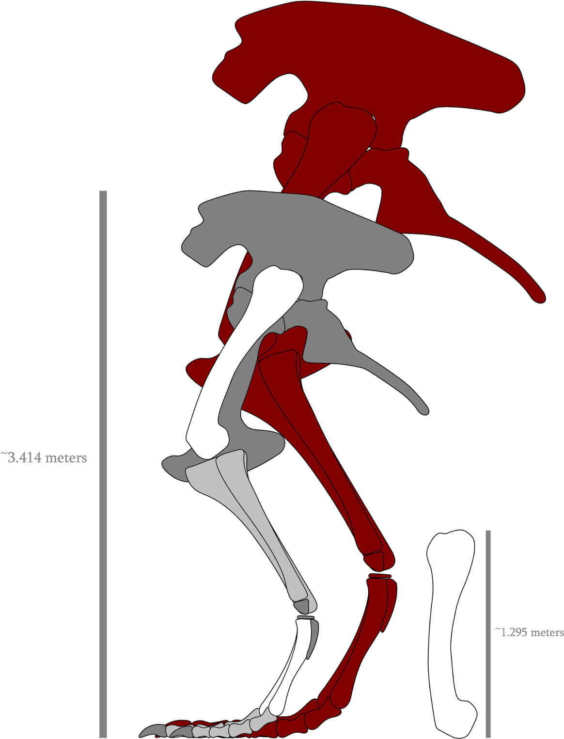 Notice How The Real Samson's Bones Obviously Don't - Illustration (1239x1600)