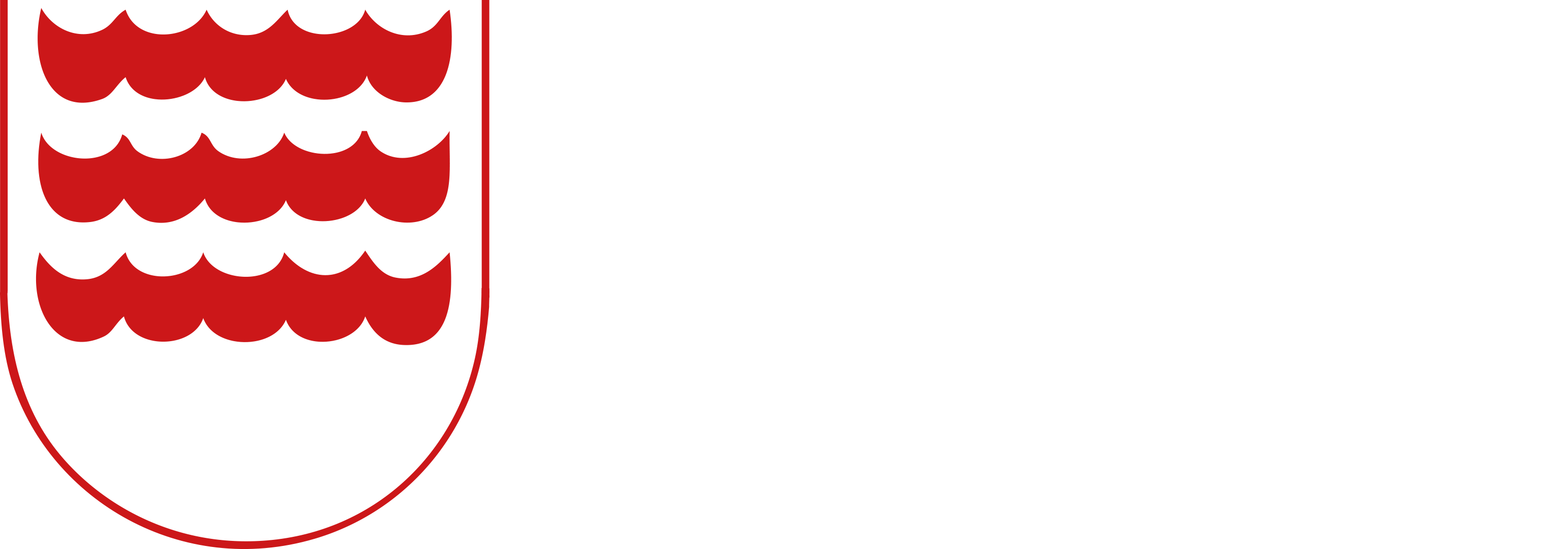 Subscribe To Our Newsletter By Entering Your Email - Subscribe To Our Newsletter By Entering Your Email (3088x1083)