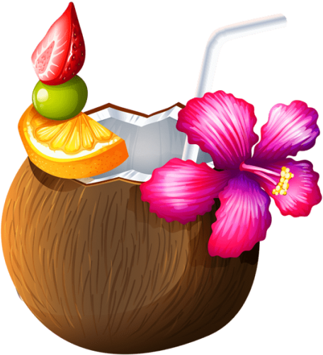 Free Png Download Exotic Coconut Cocktail Clipart Png - Coconut Drink Clipart Png (480x512)