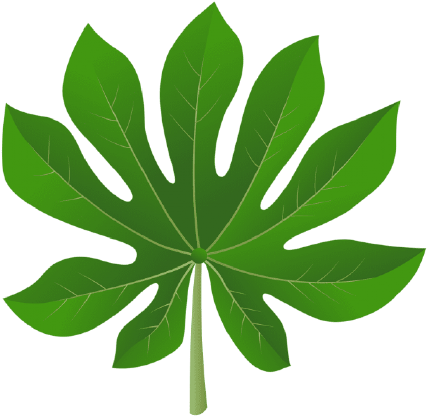 Download Exotic Leaf Clipart Png Photo - Exotic Leaves Png (850x819)
