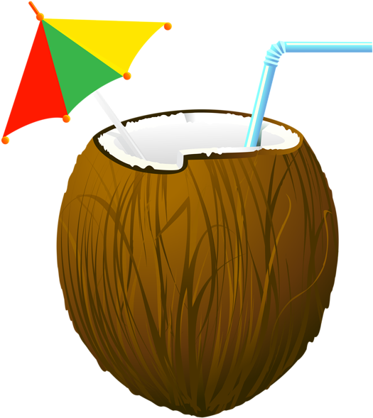 Cocktails Clipart Exotic - Transparent Background Coconut Clipart (534x600)