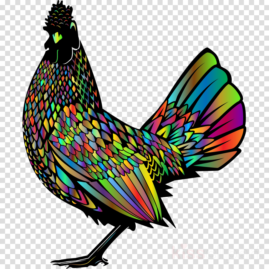Golden Rooster Clipart White-faced Black Spanish Rooster - Crescent Moon Of Islam Png (900x900)