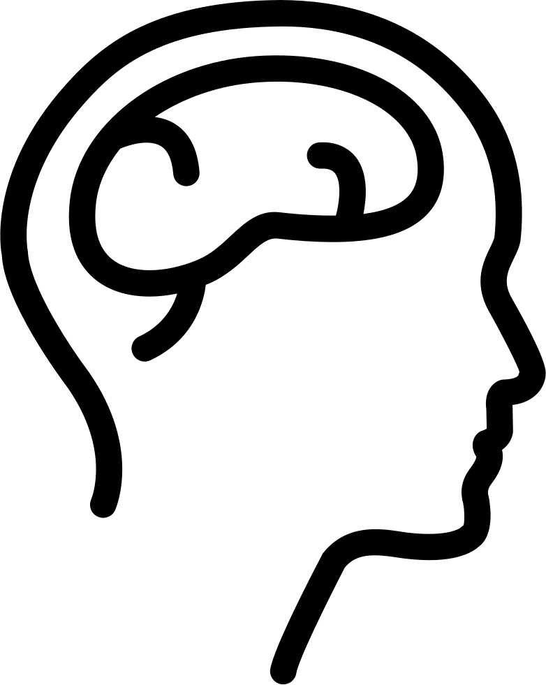 Brains Png - Side View Of Head With Brain (782x981)