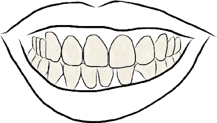 Free Png Download Outline Image Of Teeth Png Images - Line Art (850x480)