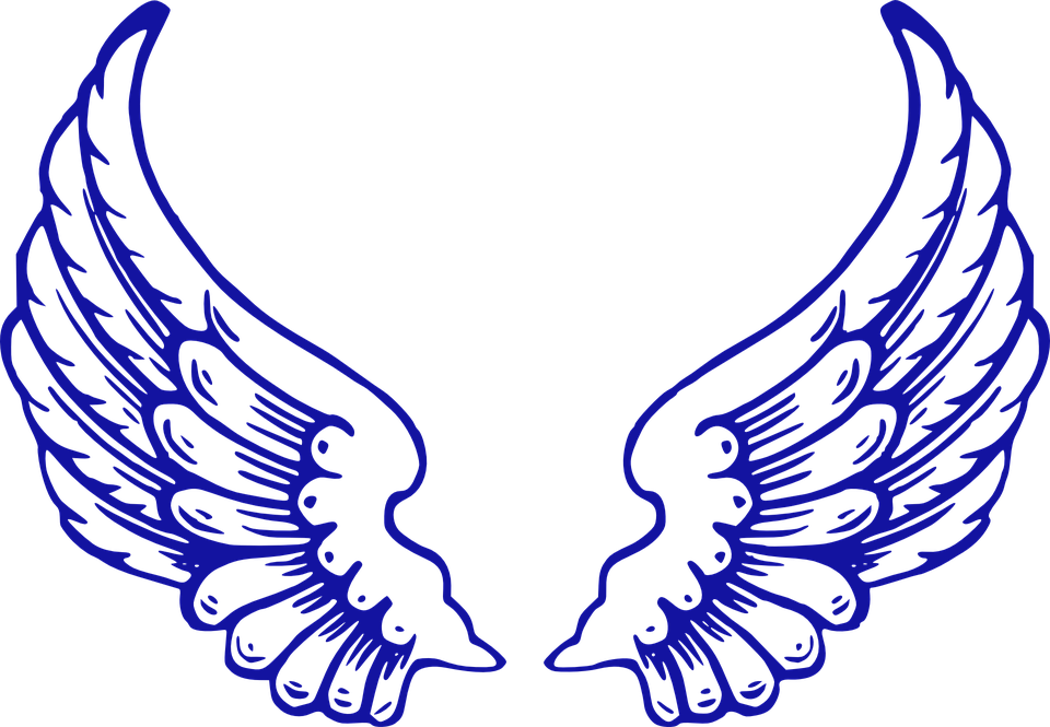 Halo Clipart Purple Angel - Angel Wings (960x665)