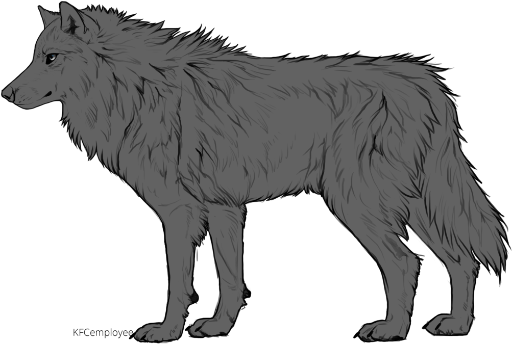 1095 X 730 4 - Human And Wolf Base (1095x730)