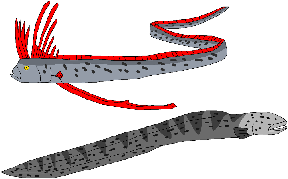 Real Sea Serpents By Wildandnaturefan - Real Sea Serpents By Wildandnaturefan (1024x635)