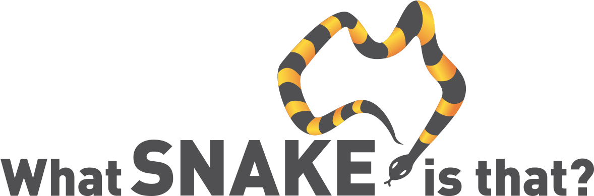Python Logo Clipart Sea Snake - Orchards Academy (1195x452)
