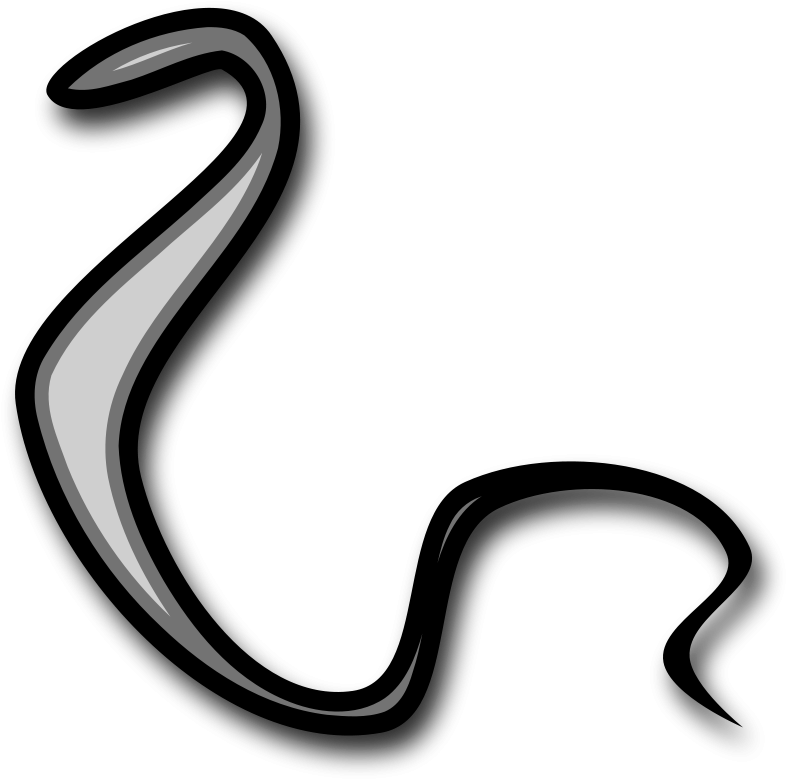 Free Serpent - Moses Stick Png (800x790)