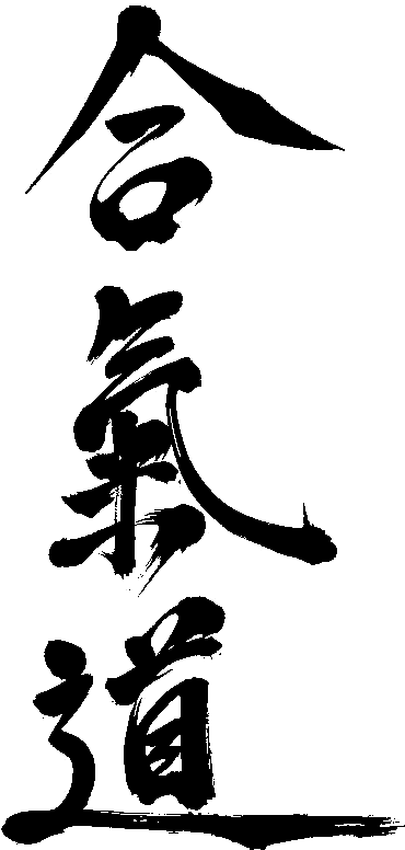 Télécharger - Aikido Png (378x801)