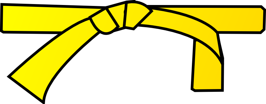 The Attestation Commission Was Headed By Armen Avetisyan - Yellow Judo Belt (851x333)