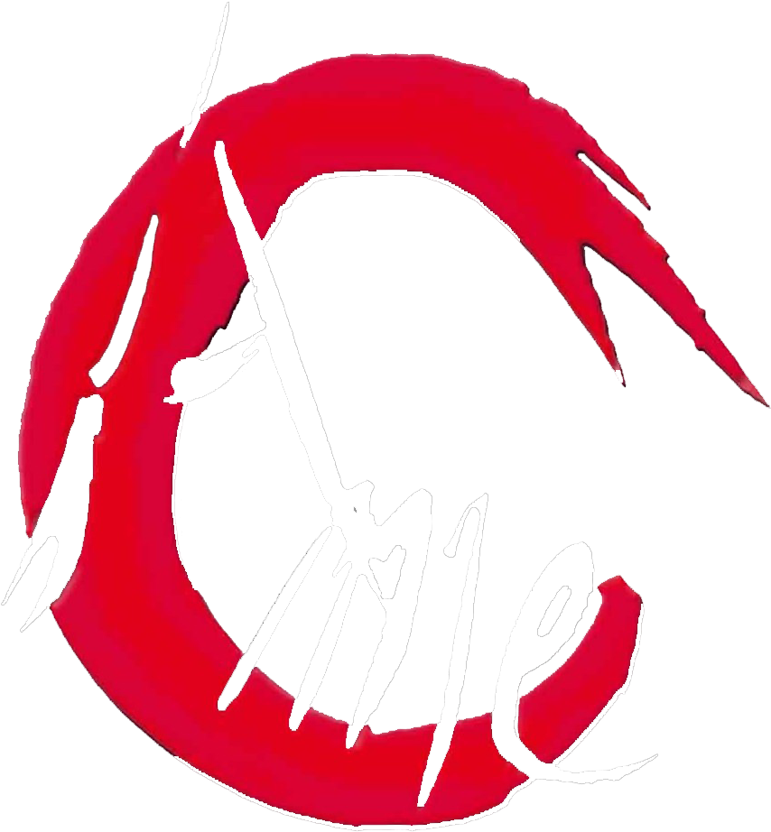 Aikido Mouvement Evasion - Aikido Mouvement Evasion (1048x925)