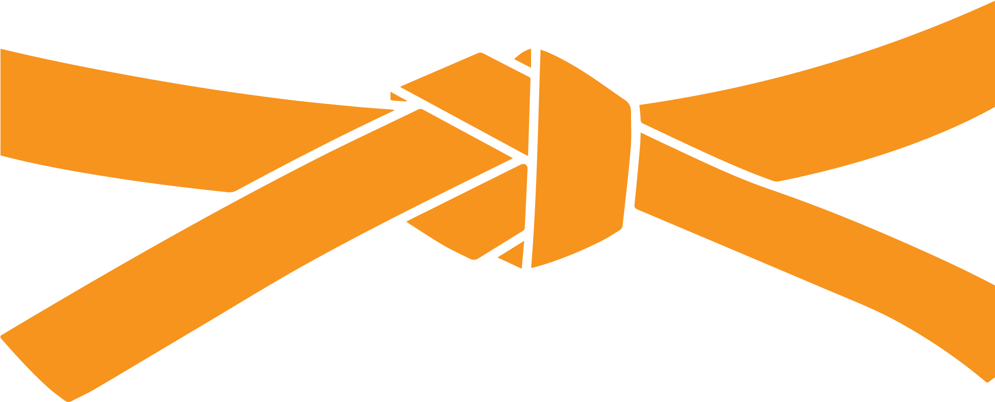 Belt Orange - 7th Dan Black Belt (2000x829)