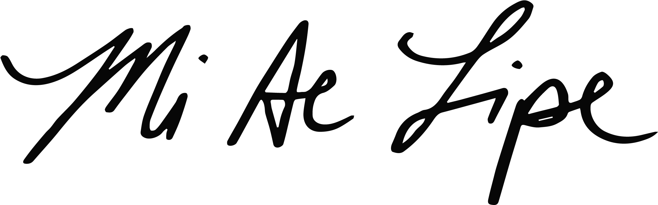 Thank You So Much For Visiting - Calligraphy (2536x824)