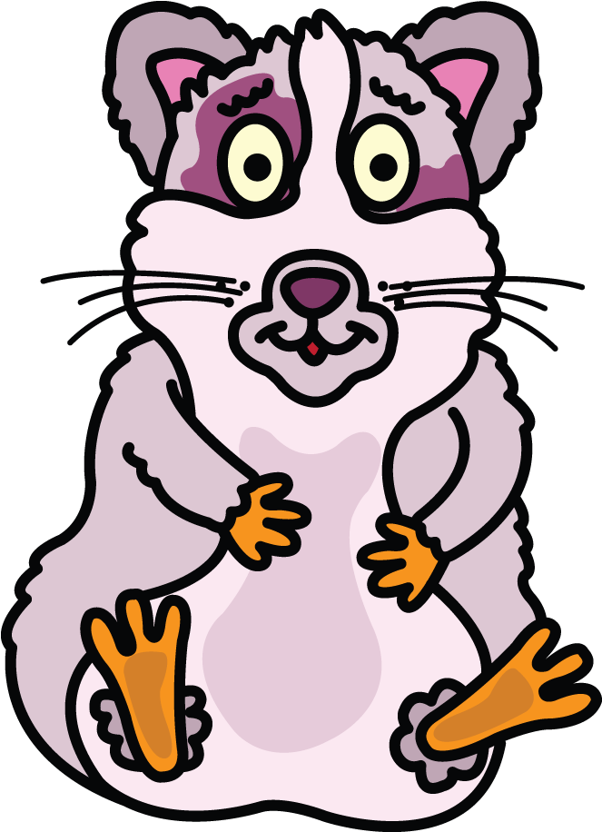 Drawn Guinea Pig Transparent - Drawing (720x1280)