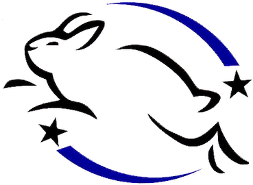 Beauty Channel - Leaping Bunny (400x315)