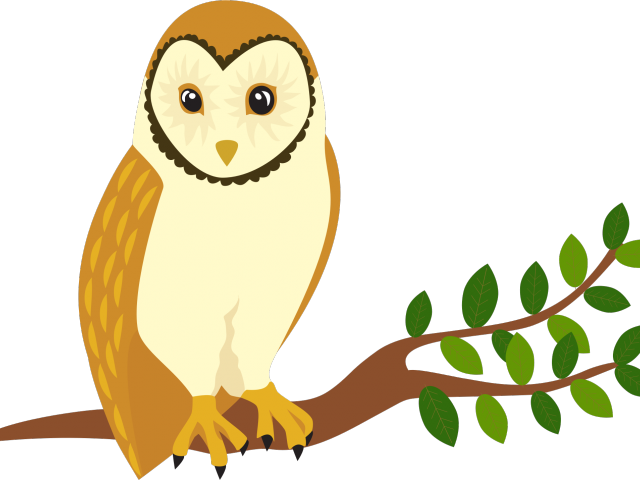 Bird Of Prey Clipart Barn Owl - Cartoon Forest Animals Png (640x480)