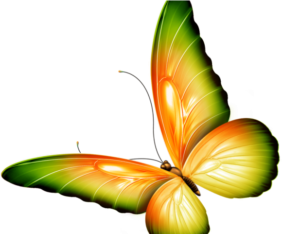 Photoshop Cliparts - Png Images Of Butterfly (640x480)