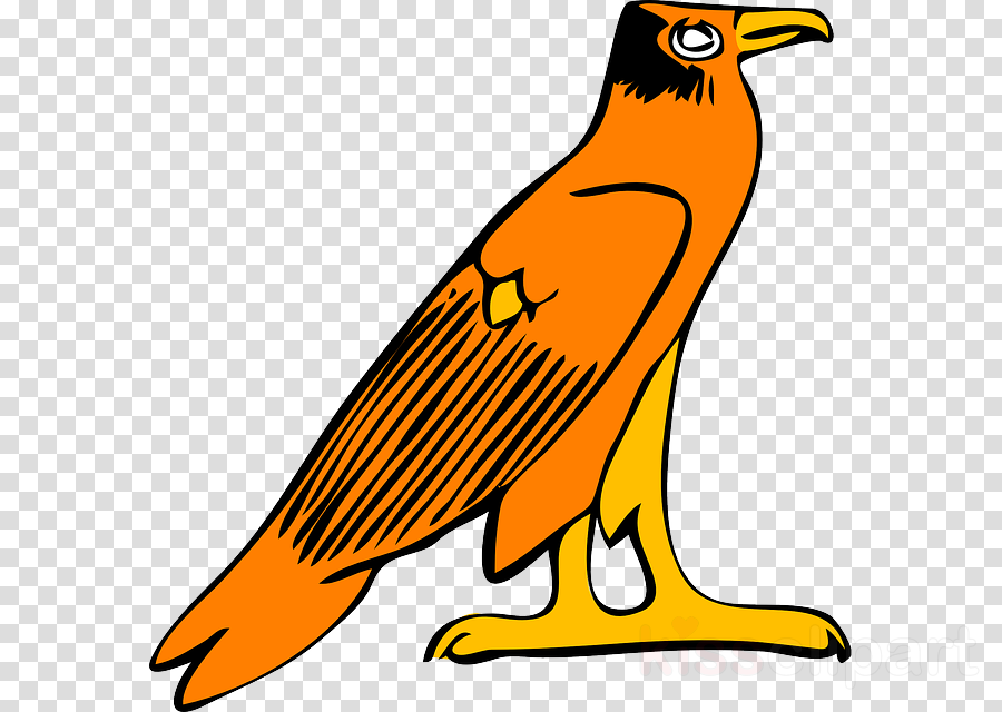 Bird - Tokyo Ghoul Kaneki Drawings (900x640)