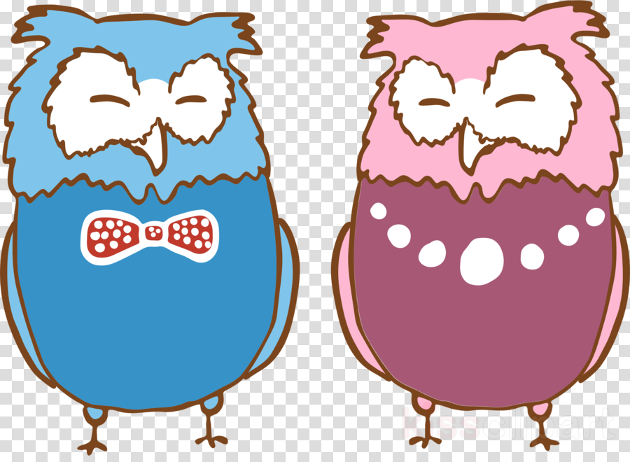 Burung Hantu Kartun Clipart Owl Drawing - Burung Hantu Kartun Cantik (900x660)