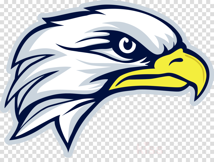 Blue Eagle Head Logo Clipart Eastdale Cvi Clip Art - Speech Bubble Comic Png Transparent (900x680)