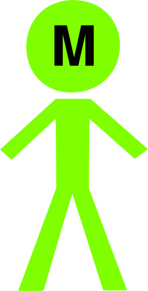 Clip Art Human Png (300x589)
