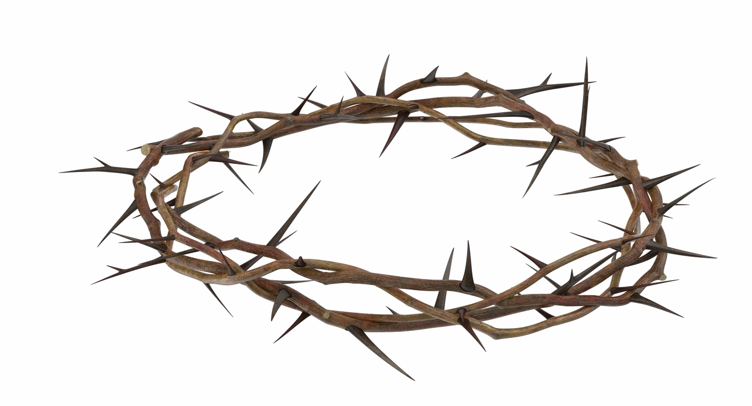 Crown Of Thorns.