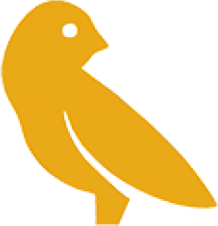 Canary (500x500)