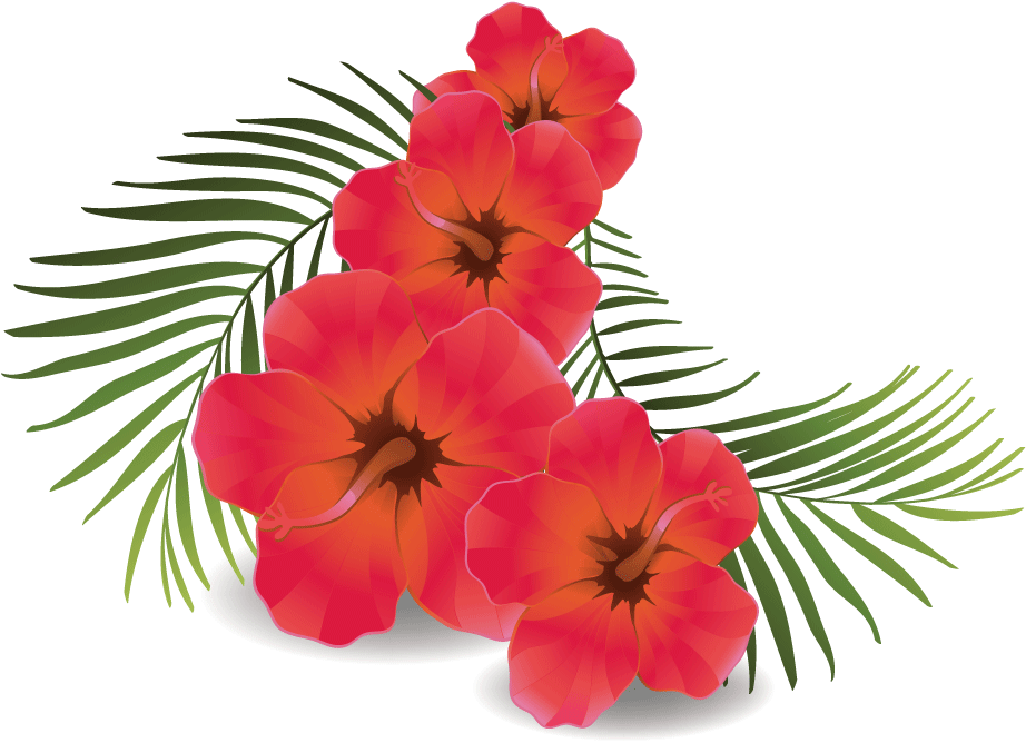 Download Hd Rose Flower Transparent Background - Hibiscus Clip Flower Transparent (922x668)
