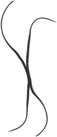 Yet, If You Prefer Using Mine, Here Is The Link, Where - Line Art (300x490)