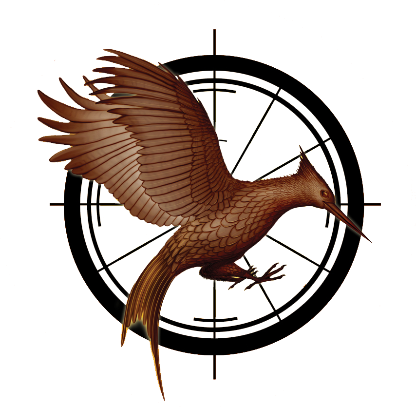 Catching Fire Png By Ninaswiftie On Deviantart - Mockingjay Bird Catching Fire (1000x988)