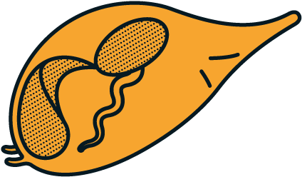 0,5 Mm - 0,5 Mm (469x469)