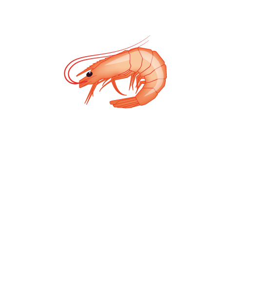 Ensuring Safe And Sustainable Seafood - Dendrobranchiata (653x623)