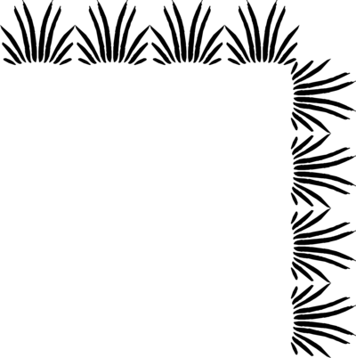 Transparent Background Border - Border With No Background (400x402)