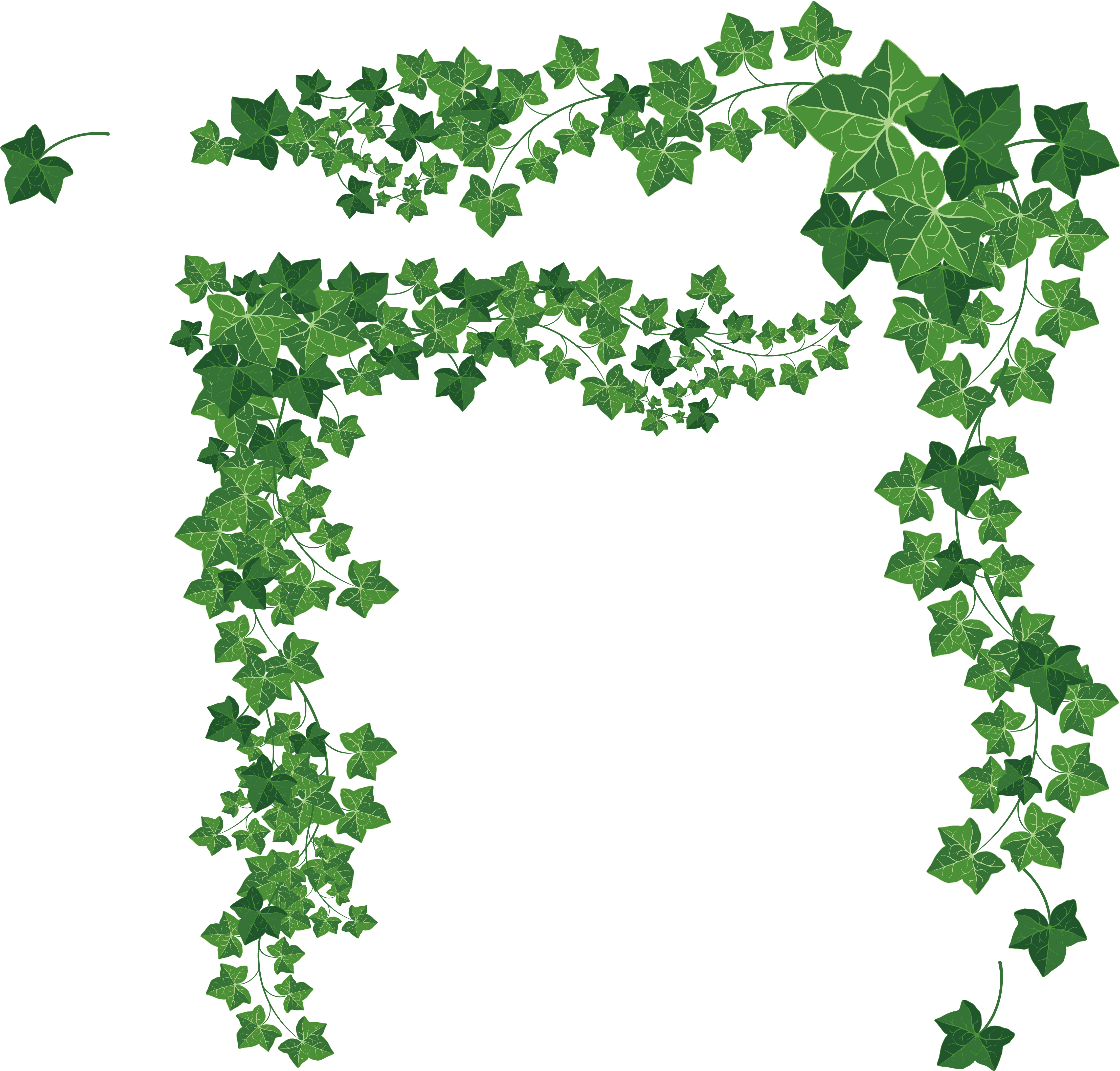 4532 X 4294 9 - Vines Vector Png (4532x4294)