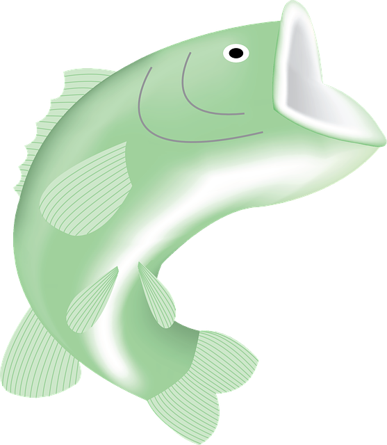 Friday Fish Feeders - Friday Fish Feeders (557x640)
