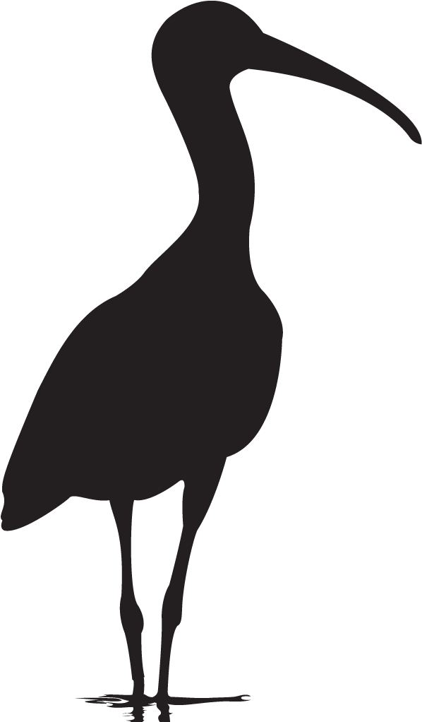 Silhouette Clip Art Dart Frog - Seabird (1024x1024)