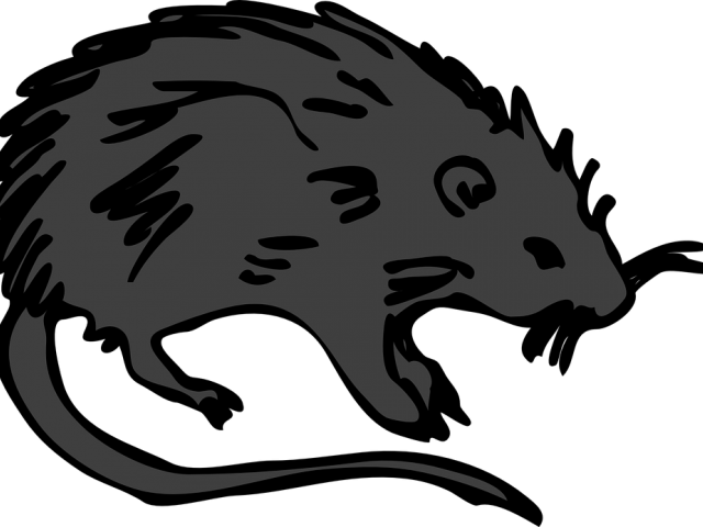 Death Clipart Black Plague - Rat Clip Art (640x480)