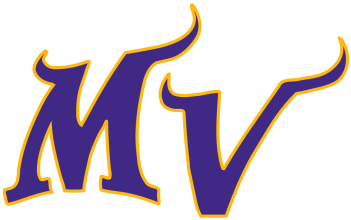 Minnesota Vikings Iron On Stickers And Peel-off Decals - Minnesota Vikings Logo Transparent (350x435)
