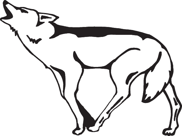 Coyote Decal - Coyote Transparent Howling Gif (600x449)