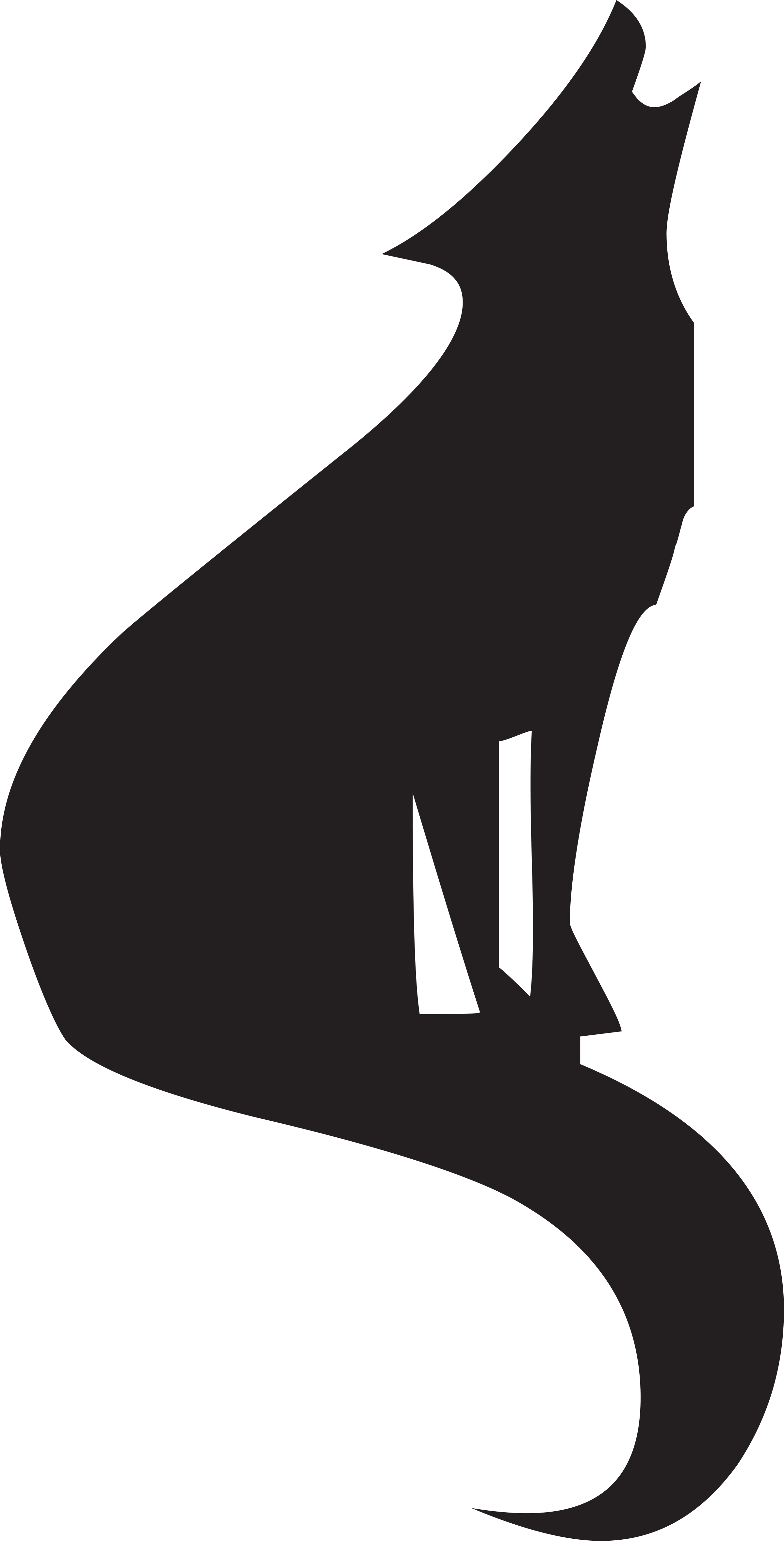 Art Coyote Image - Art Coyote Image (2400x4715)